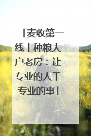 麦收第一线丨种粮大户老房：让专业的人干专业的事