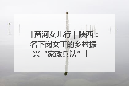 黄河女儿行｜陕西：一名下岗女工的乡村振兴“家政兵法”