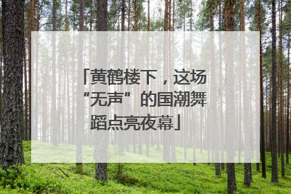 黄鹤楼下，这场“无声”的国潮舞蹈点亮夜幕