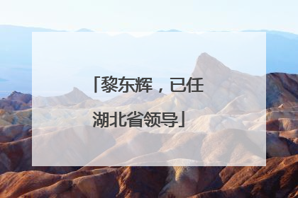 黎东辉，已任湖北省领导