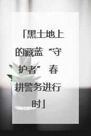 黑土地上的藏蓝“守护者” 春耕警务进行时