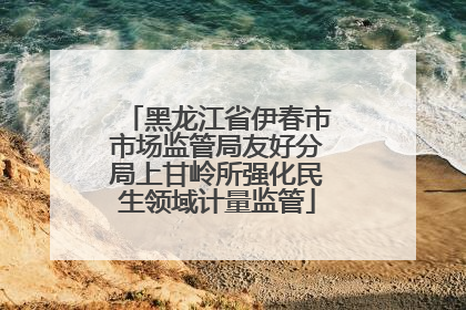 黑龙江省伊春市市场监管局友好分局上甘岭所强化民生领域计量监管