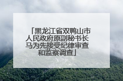 黑龙江省双鸭山市人民政府原副秘书长马为先接受纪律审查和监察调查