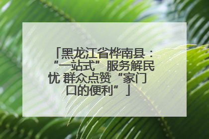 黑龙江省桦南县：“一站式”服务解民忧 群众点赞“家门口的便利”