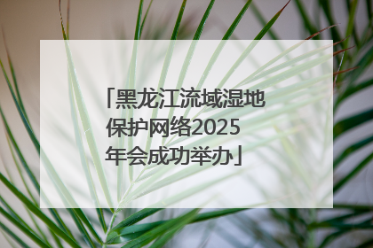 黑龙江流域湿地保护网络2025年会成功举办