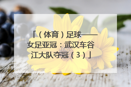 （体育）足球——女足亚冠：武汉车谷江大队夺冠（3）