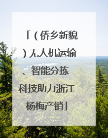 （侨乡新貌）无人机运输、智能分拣 科技助力浙江杨梅产销