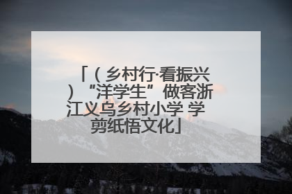 （乡村行·看振兴）“洋学生”做客浙江义乌乡村小学 学剪纸悟文化