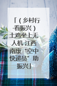 （乡村行·看振兴）土鸡坐上无人机 江西南康“空中快递员”助振兴