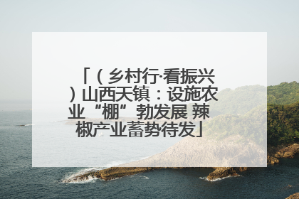 （乡村行·看振兴）山西天镇：设施农业“棚”勃发展 辣椒产业蓄势待发
