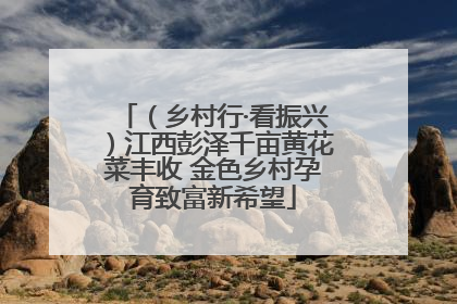 （乡村行·看振兴）江西彭泽千亩黄花菜丰收 金色乡村孕育致富新希望