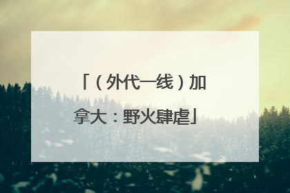 （外代一线）加拿大：野火肆虐