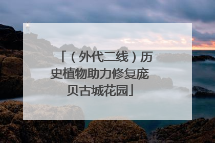 （外代二线）历史植物助力修复庞贝古城花园
