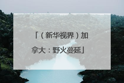 （新华视界）加拿大：野火蔓延