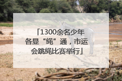 1300余名少年各显“绳”通，市运会跳绳比赛举行