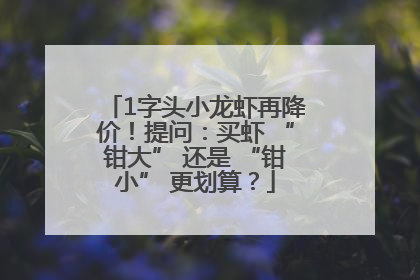 1字头小龙虾再降价！提问：买虾 “钳大” 还是 “钳小” 更划算？