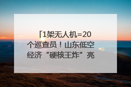 1架无人机=20个巡查员！山东低空经济“硬核王炸”亮相青岛，下一个万亿赛道藏在这里