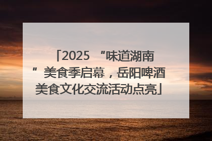 2025 “味道湖南”美食季启幕，岳阳啤酒美食文化交流活动点亮