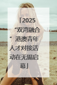 2025“双湾融合”港澳青年人才对接活动在无锡启幕