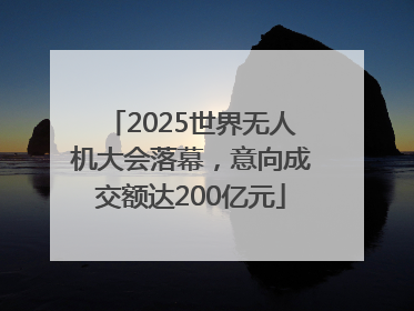 2025世界无人机大会落幕，意向成交额达200亿元