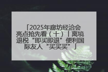 2025年廊坊经洽会亮点抢先看（十）丨离境退税“即买即退”便利国际友人“买买买”