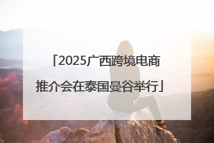 2025广西跨境电商推介会在泰国曼谷举行