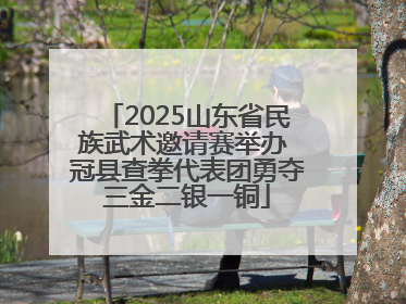 2025山东省民族武术邀请赛举办 冠县查拳代表团勇夺三金二银一铜