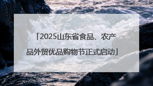 2025山东省食品、农产品外贸优品购物节正式启动