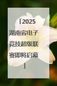 2025湖南省电子竞技超级联赛即将启幕