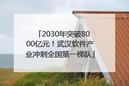 2030年突破8000亿元！武汉软件产业冲刺全国第一梯队