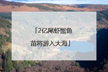 2亿尾虾蟹鱼苗将游入大海