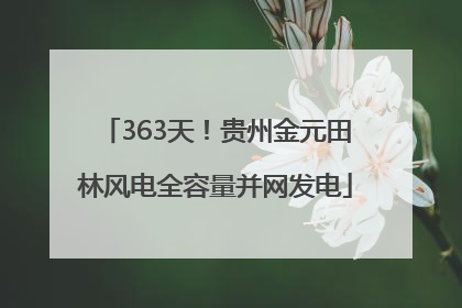 363天！贵州金元田林风电全容量并网发电