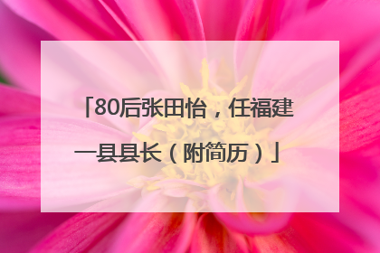 80后张田怡，任福建一县县长（附简历）