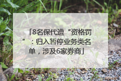 8名保代遭“资格罚”：归入暂停业务类名单，涉及6家券商
