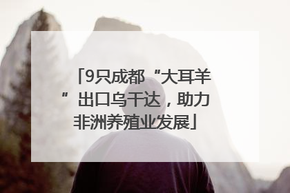 9只成都“大耳羊”出口乌干达，助力非洲养殖业发展
