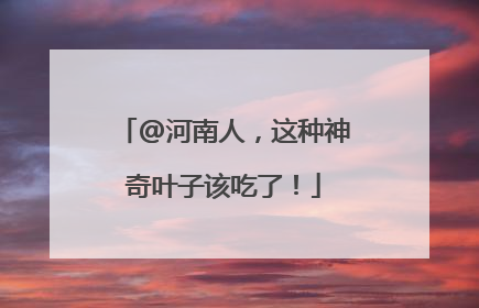 @河南人，这种神奇叶子该吃了！