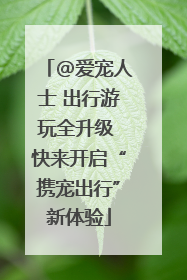 @爱宠人士 出行游玩全升级 快来开启“携宠出行”新体验