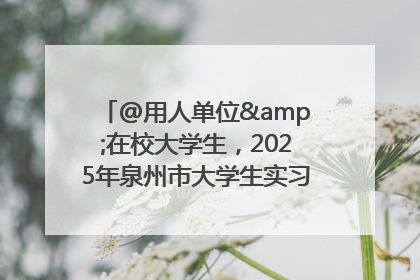 @用人单位&在校大学生，2025年泉州市大学生实习“扬帆计划”来啦！