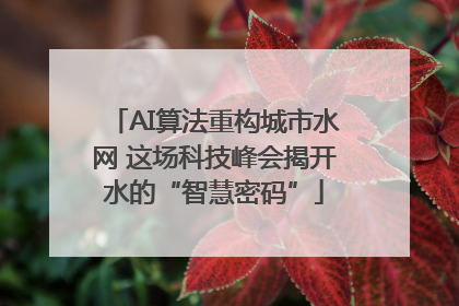 AI算法重构城市水网 这场科技峰会揭开水的“智慧密码”