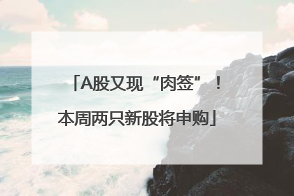 A股又现“肉签”！本周两只新股将申购
