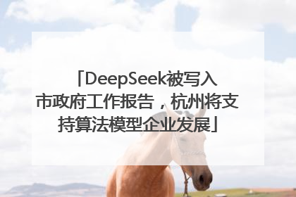 DeepSeek被写入市政府工作报告，杭州将支持算法模型企业发展