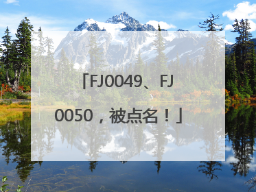 FJ0049、FJ0050，被点名！