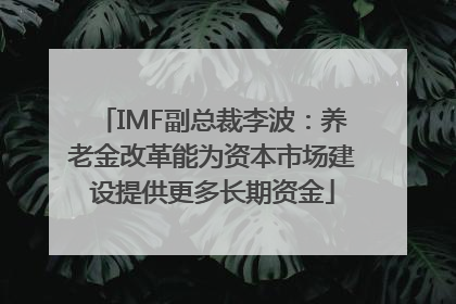 IMF副总裁李波：养老金改革能为资本市场建设提供更多长期资金