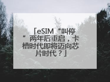 eSIM“叫停”两年后重启，卡槽时代即将迈向芯片时代？